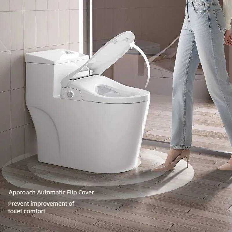 Assento Sanitário Auto Flip Jet Toalete Japonaises Torneira Elétrica Japones Controle Digital Japonês WC Sentar Bidê Int