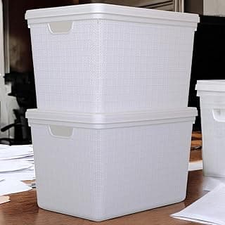 Kit 2 Caixa Organizadora 22 Litros com Tampa Grande Banheiro Cozinha Escritório (Branco)